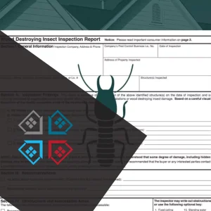 Termite Inspection Services Termite Inspection Services