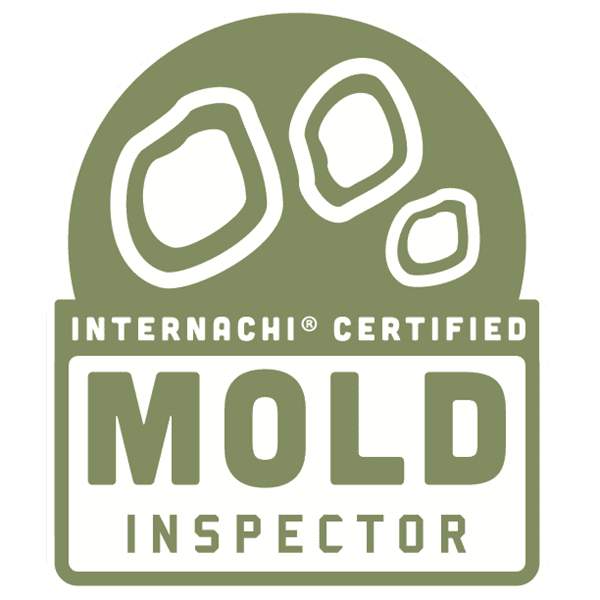Mold Inspector Core360homeinspections.com